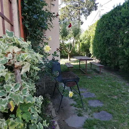 Gabriella Haz * Szolad