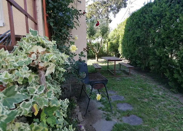 Gabriella Haz * Szolad